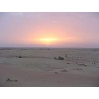 Dune Dinner Safari from Abu Dhabi