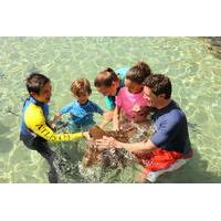 Dubai Atlantis Ray Feeding Experience