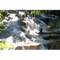 dunns river falls adventure tour