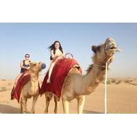 Dubai Overnight Safari Experience with Camel Ride