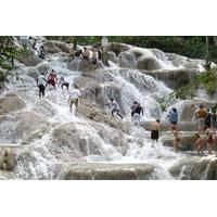 Dunn\'s River Falls and Luminous Lagoon Tour from Montego Bay and Grand Palladium