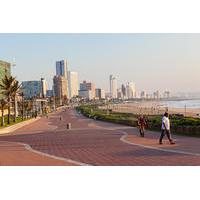 durban shore excursion durban city tour