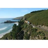 Dunedin Shore Excursion: Coastal Train and Olveston House