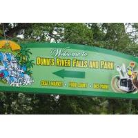 Dunn\'s River Falls and Luminous Lagoon Tour from Falmouth