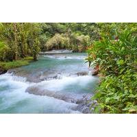 dunns river falls and fern gully highlight adventure tour from runaway ...