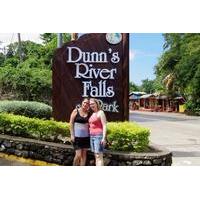 Dunn\'s River Falls and Fern Gully Highlight Adventure Tour from Kingston