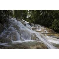Dunn\'s River Falls and Fern Gully Highlight Adventure Tour from Montego Bay