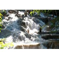 Dunn\'s River Falls and Fern Gully Highlight Adventure Tour from Ocho Rios
