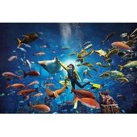 Dubai Atlantis Explorer Certified Scuba Dive