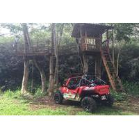 Dune Buggy Trail Adventure and Eco Tour