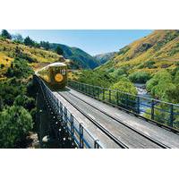Dunedin Shore Excursion: Taieri Gorge Railway and the Otago Peninsula Day Trip from Dunedin