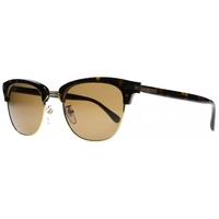 dunhill DH013 738P Tortoise/Gold