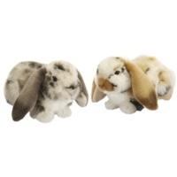 Dutch Lop Eared Rabbit Soft Toy Assorted Designs