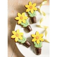 Duo of Decorated Chocolate Daffodils Packs