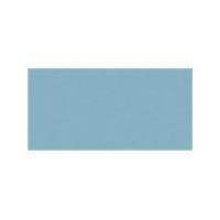 Duck Egg Blue Gloss Oblong (PRG28) Tiles - 200x100x6.5mm