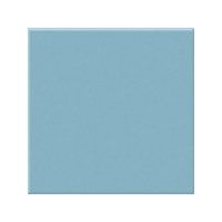 Duck Egg Gloss Large (PRG28) Tiles - 200x200x6.5mm