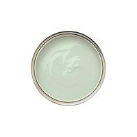 Dulux Colour Tester Pot Willow Tree 50ml