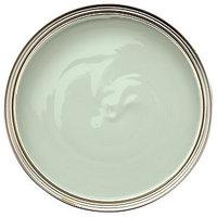 dulux kitchen matt emulsion paint willow tree 25l