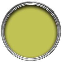 dulux kitchen luscious lime matt emulsion paint 25l