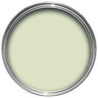 Dulux Soft Apple Silk Emulsion Paint 5L