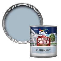 Dulux Weathershield Frosted Lake Blue Matt Masonry Paint 250ml Tester Pot