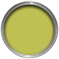 dulux bathroom luscious lime soft sheen emulsion paint 25l