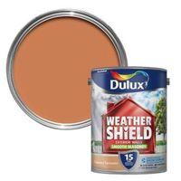 Dulux Weathershield Toasted Terracotta Masonry Paint 5L