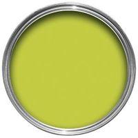 Dulux Luscious Lime Matt Emulsion Paint 1.25L