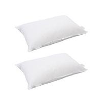 duck feather and down pillows 2 save 15