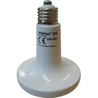 dull emitter ceramic infra red bulb 250w