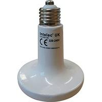 dull emitter ceramic infra red bulb 100w