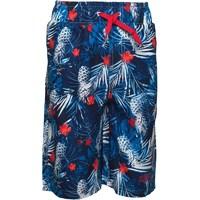 dudeskin boys woven and lined board shorts pineapple print