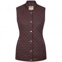 Dubarry Wilde Gilet, Chestnut, -