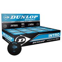Dunlop Intro Squash Balls - 1 Dozen