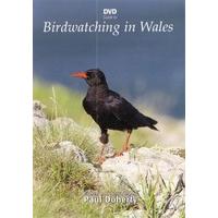 dvd guide to birdwatching in wales