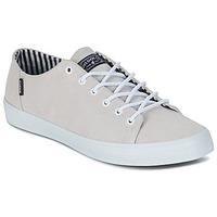 dvs edmon mens shoes trainers in grey