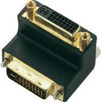 DVI Adapter [1x DVI plug 29-pin - 1x DVI socket 29-pin] Black