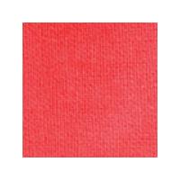 Dylon Fabric Paints 25ml. Red. Each