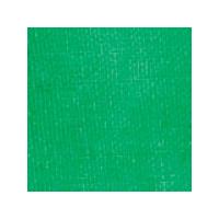 Dylon Fabric Paints 25ml. Green. Each