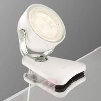 Dyna LED Table Clamp Light Transparent