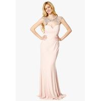 dynasty london krina embellished collar maxi dress in blush