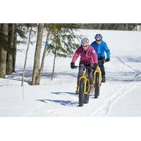 E-Bike Ride in Cortina d\'Ampezzo