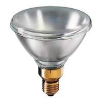 E27 120W PAR38 reflector bulb 24V