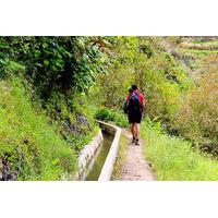 Easy Madeira Levada Walk - Maroços