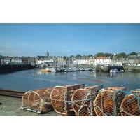 East Neuk Treasures Tour from St Andrews