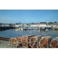 East Neuk Treasures Tour from Dundee
