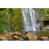 East Maui Waterfalls and Rainforest Hike