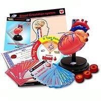 Eastcolight 29964 Cardiology Deluxe Set