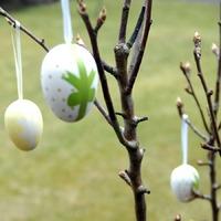 Easter Egg Tree Gift