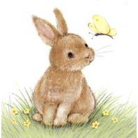 Easter bunny Easter cards (Pack of 6)
